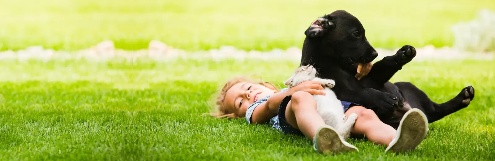 Girl playing with dog and cat in grass