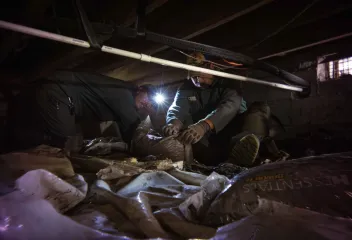crawlspace_techs
