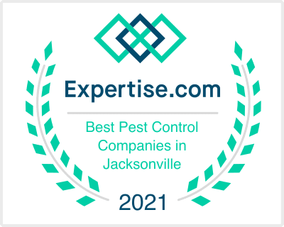 expertise
